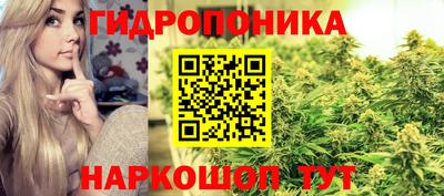 spice Волгодонск