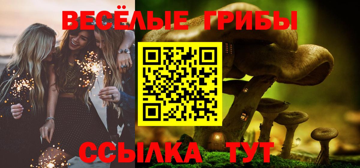 закладка  Псилоцибиновые грибы Psilocybine cubensis  Вход с VPN  Дзержинский 