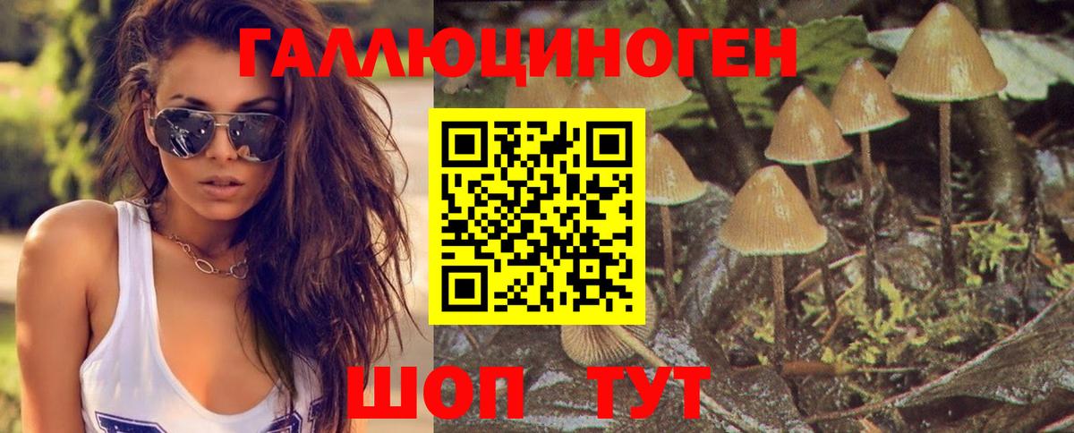 Псилоцибиновые грибы ЛСД Дзержинский
